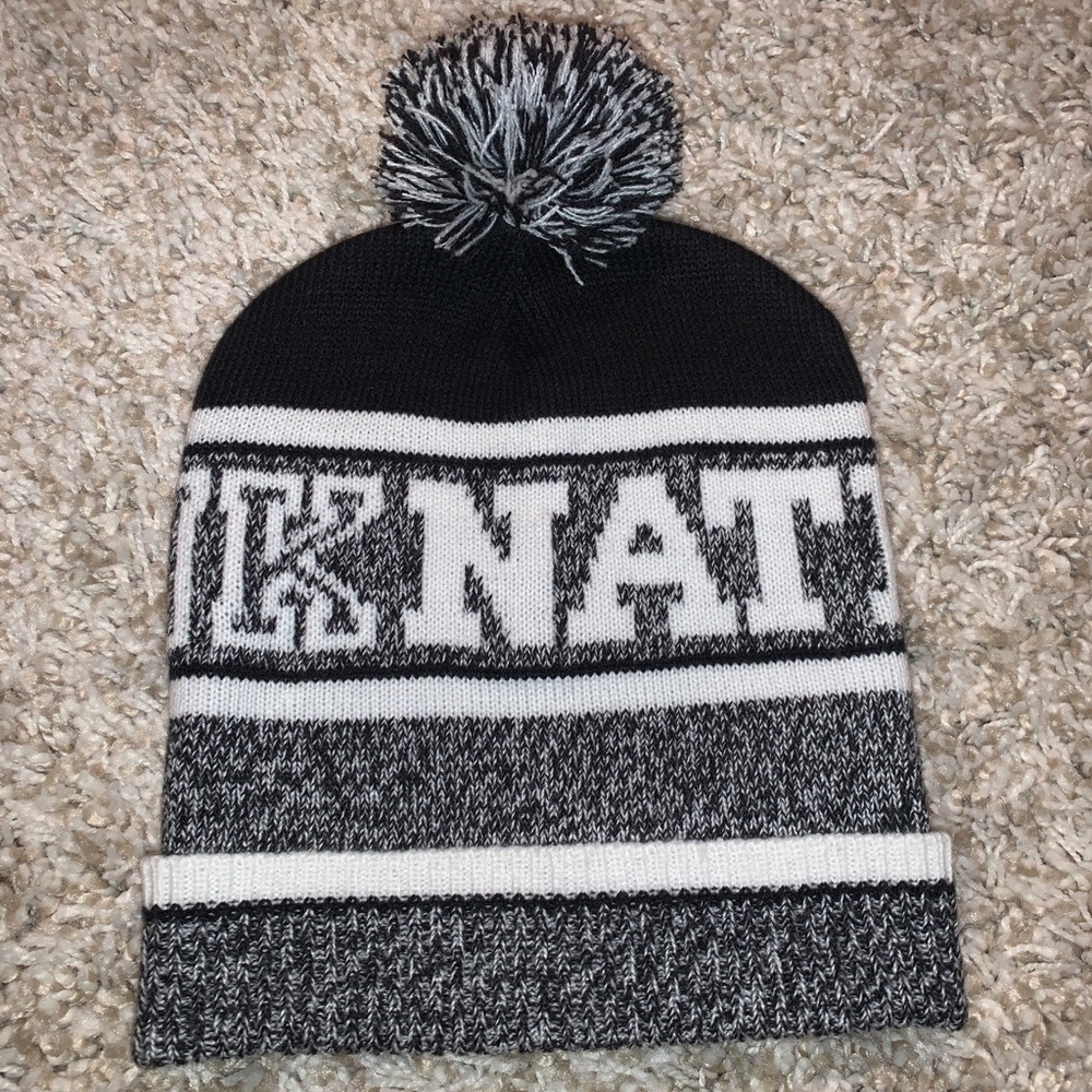 Pink nation beanie